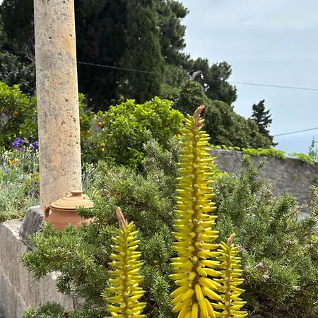 Anica - Luxurious With A Sea View Maison d'hôtes