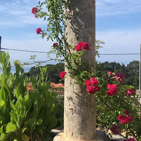 Villa Anica Dubrovnik - Luxurious With A Sea View