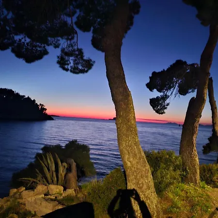 Villa Anica Dubrovnik - Luxurious With A Sea View 4*