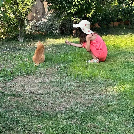 Villa Anica Dubrovnik - Luxurious With A Sea View Gostinjska kuća 4*