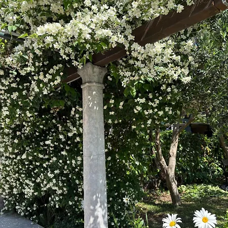 Villa Anica Dubrovnik - Luxurious With A Sea View Gostinjska kuća 4*