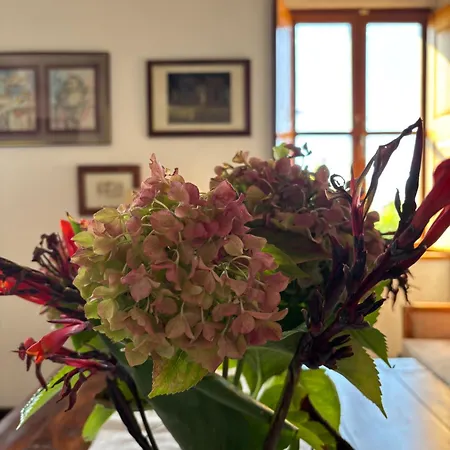 Guest house Villa Anica Dubrovnik - Luxurious With A Sea View 4*