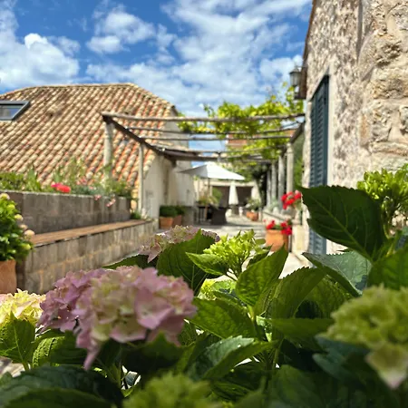 Villa Anica Dubrovnik - Luxurious With A Sea View