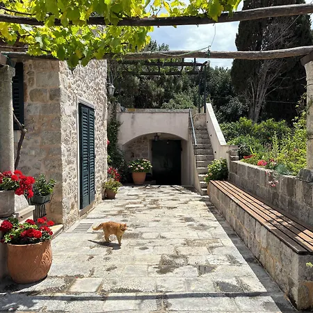 Villa Anica Dubrovnik - Luxurious With A Sea View 4*