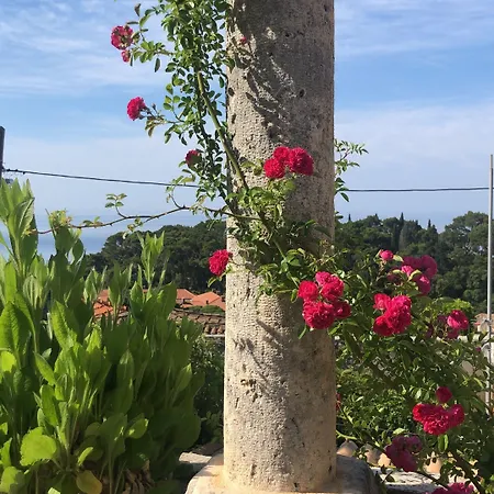 Anica - Luxurious With A Sea View Vendégház Dubrovnik