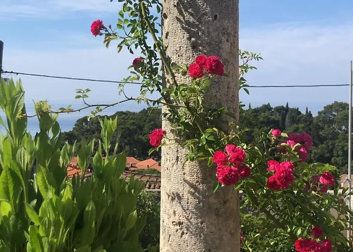 Anica - Luxurious With A Sea View