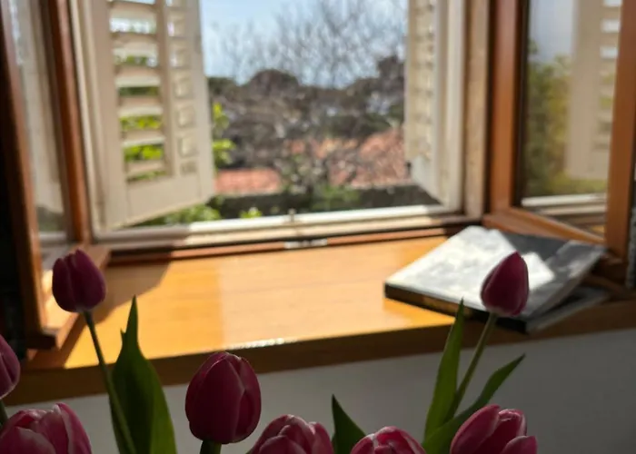 招待所 Anica - Luxurious With A Sea View