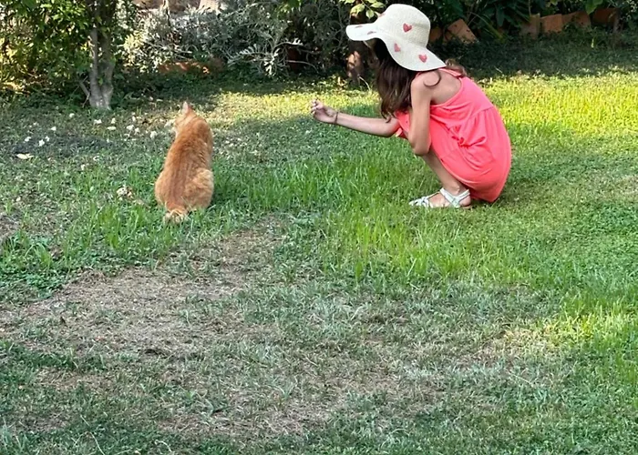 Anica - Luxurious With A Sea View 招待所 4*