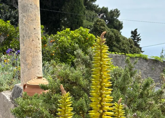 Anica - Luxurious With A Sea View 招待所