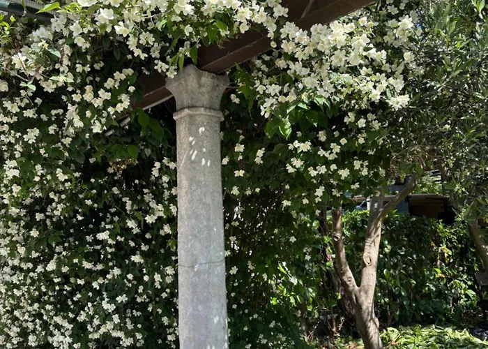 Anica - Luxurious With A Sea View 招待所 4*