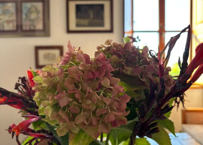 招待所 Anica - Luxurious With A Sea View 4*