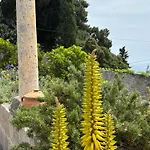 Anica - Luxurious With A Sea View Maison d'hôtes