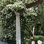 Anica - Luxurious With A Sea View Pensionat 4*